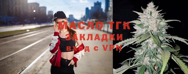индика Кулебаки