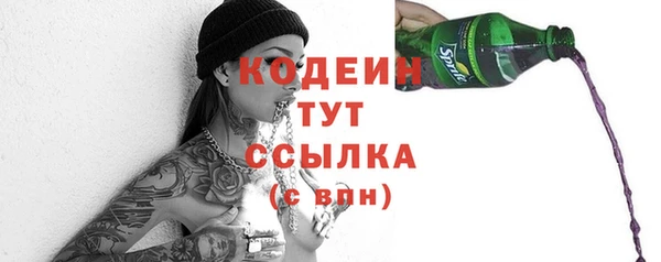 индика Кулебаки