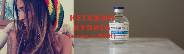 индика Кулебаки