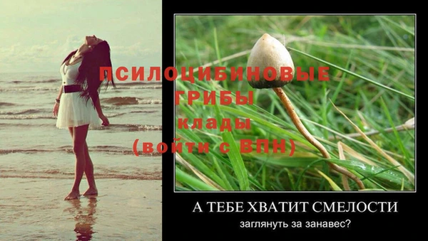 индика Кулебаки