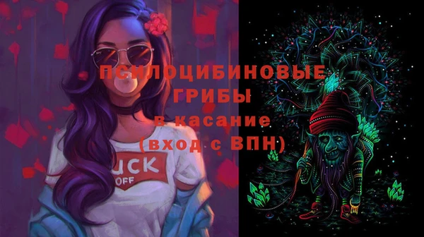 индика Кулебаки