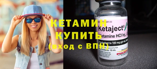 индика Кулебаки