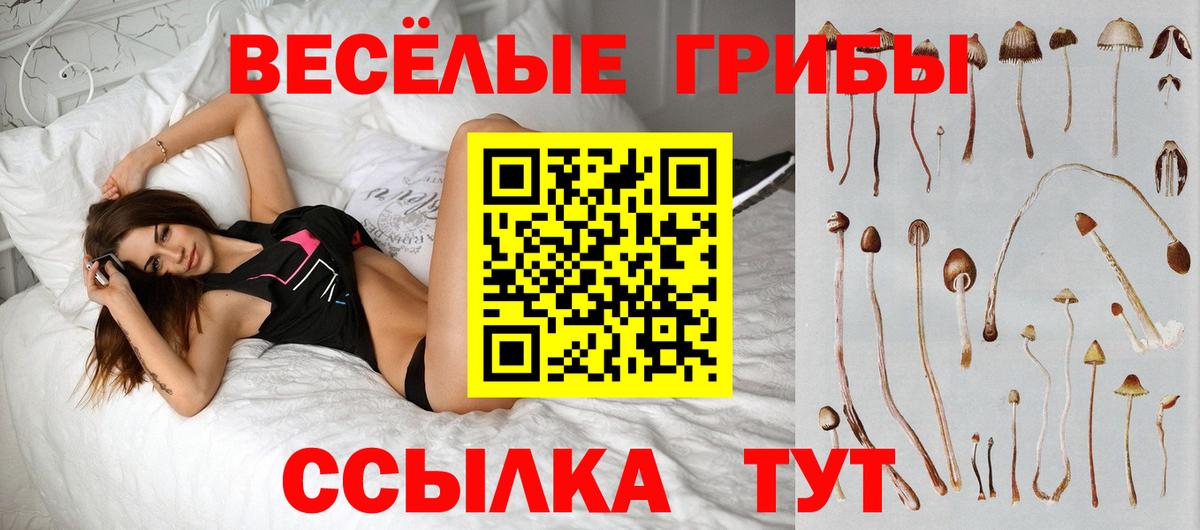 Галлюциногенные грибы мицелий  Вход с VPN  Майский 